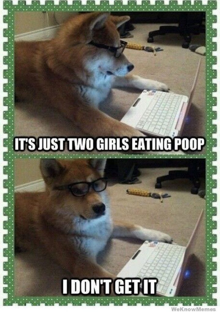 "It's just two girls eating poop, I don't get it."