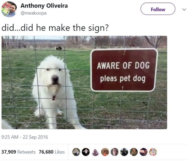 "Did...did he make the sign?"