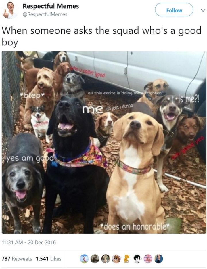 "When someone asks the squad who's a good boy."