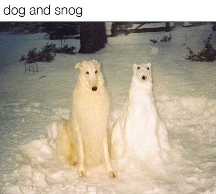 "Dog and snog."