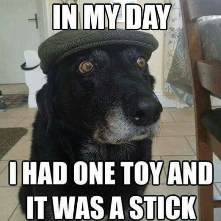 "In my day, I had one toy and it was a stick."