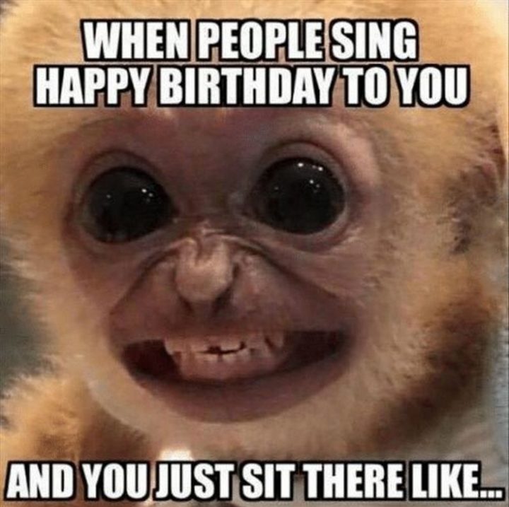 101 Happy Birthday Memes - "Når folk synger Happy Birthday til dig, og du bare sidder der som..."