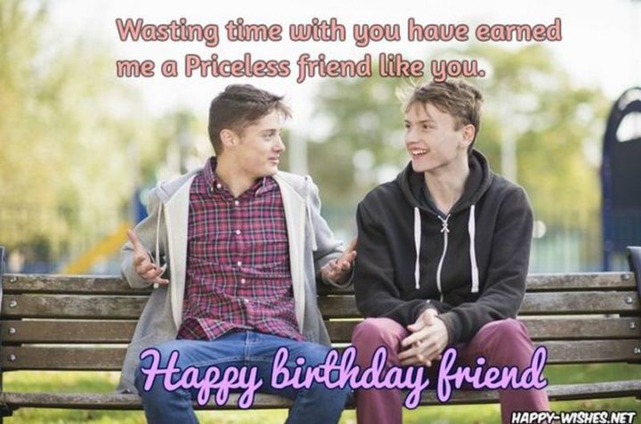 101 Happy Birthday Memes - "Wasting time with you have me a priceless friend like you. Happy Birthday, friend."