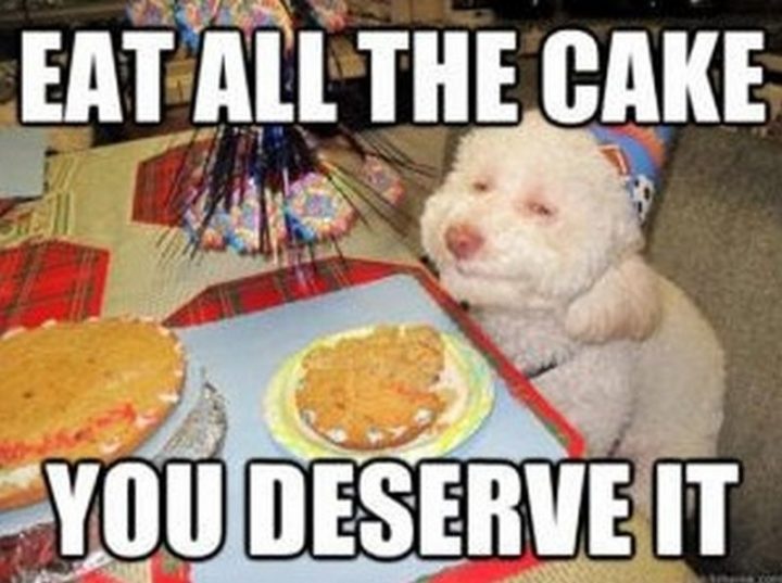 101 Happy Birthday Memes - "Eat all the cake, you deserve it."