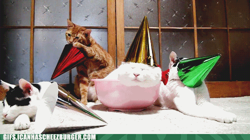 4 cats at a birthday party.