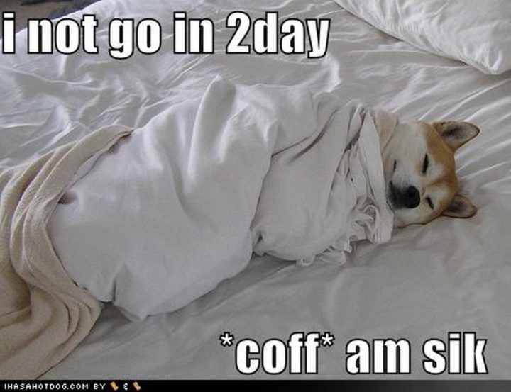 23 Sick Memes - "I not go in 2day *coff* am sik."