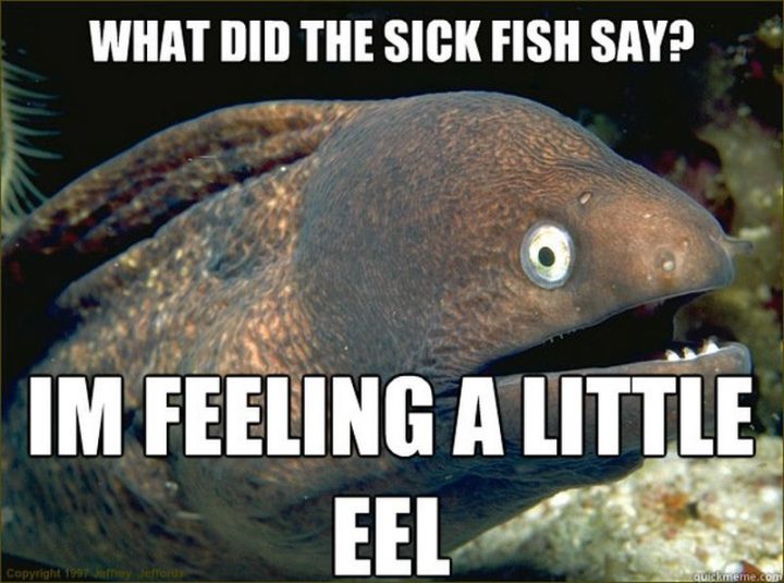 23 Sick Memes - "What did the sick fish say? I'm feeling a little eel."