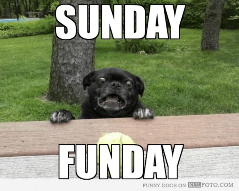 27 Funny Sunday Memes That Are Perfect For Lazy Sundays 