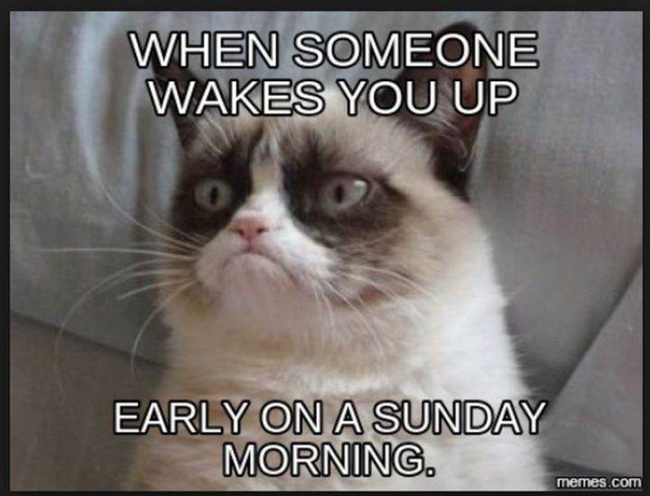 27 Funny Sunday Memes That Are Perfect for Lazy Sundays