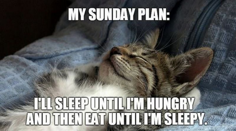 27 Funny Sunday Memes That Are Perfect for Lazy Sundays