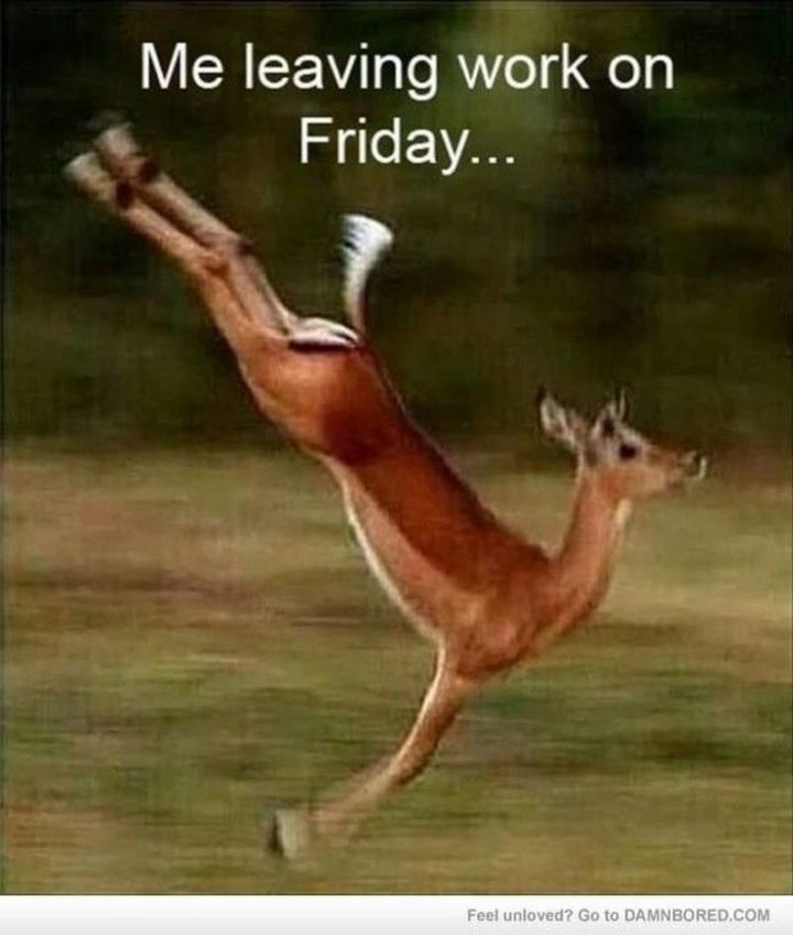 30 Friday Work Memes - "Me leaving work on a Friday."