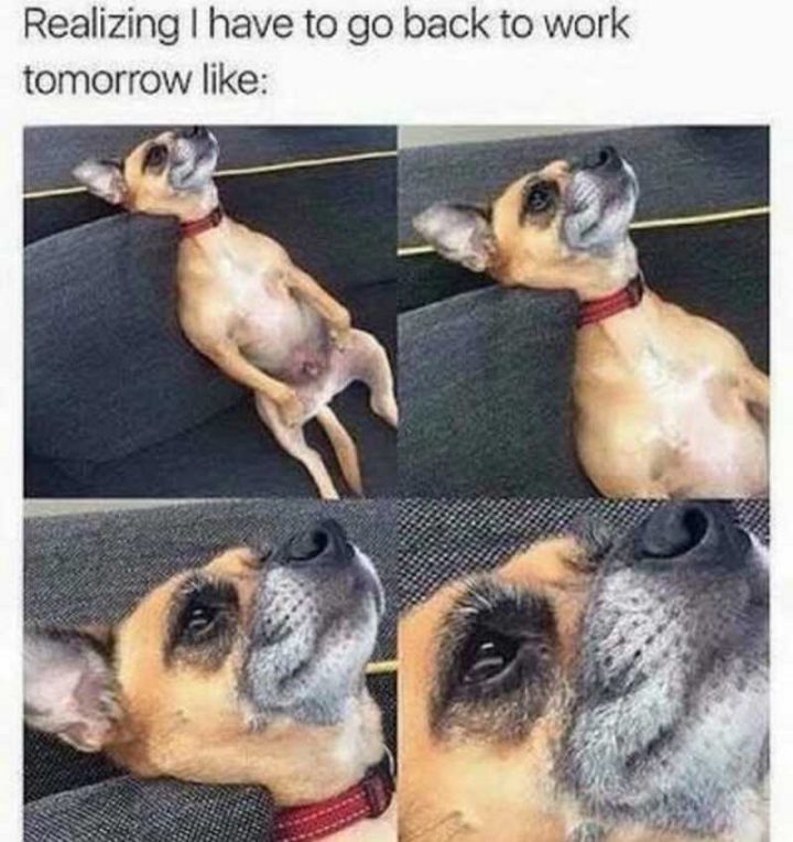 21 Back to Work Memes - "Realizing I have to go back to work tomorrow like..."