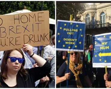 23 of the Best Anti-Brexit Signs from People Attending the People’s Vote March