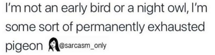 37 Best Exhausted Memes - "I'm not an early bird or a night owl, I'm some sort of permanently exhausted pigeon."
