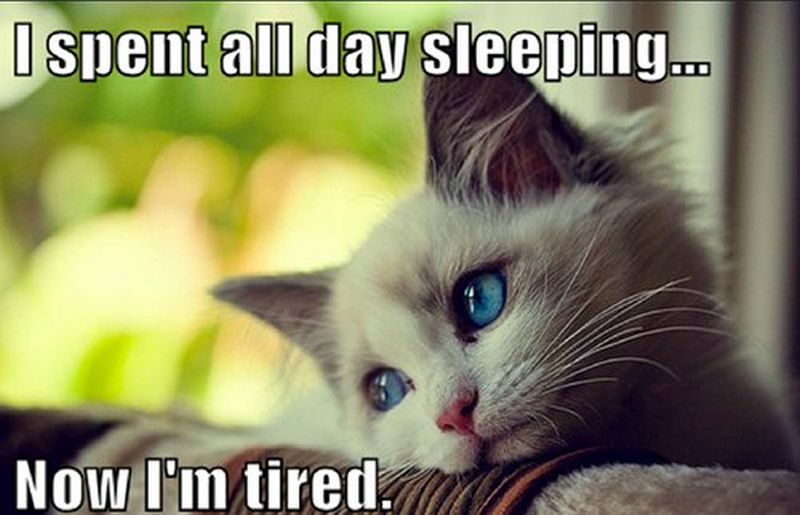 37 Best Exhausted Memes Tired People Will Instantly Relate To