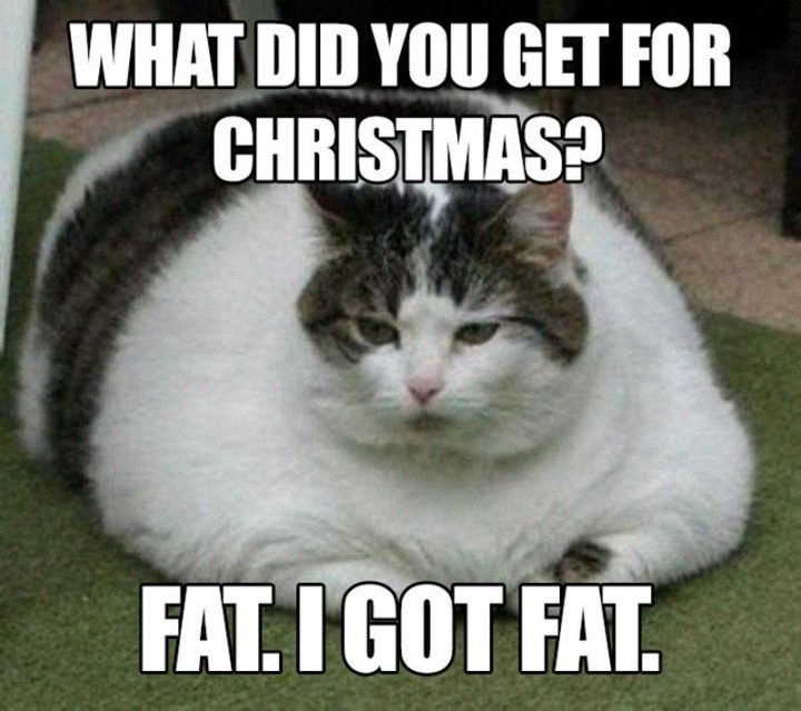 37 Funny Food Memes - "What did you get for Christmas? Fat. I got fat."