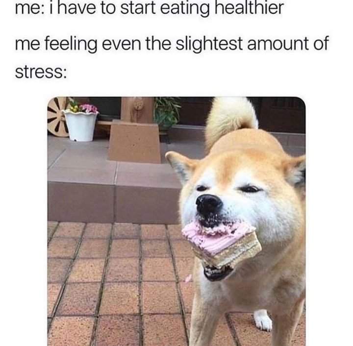 37 Funny Food Memes - Me: "I have to start eating healthier." Me: "Feeling even the slightest amount of stress."