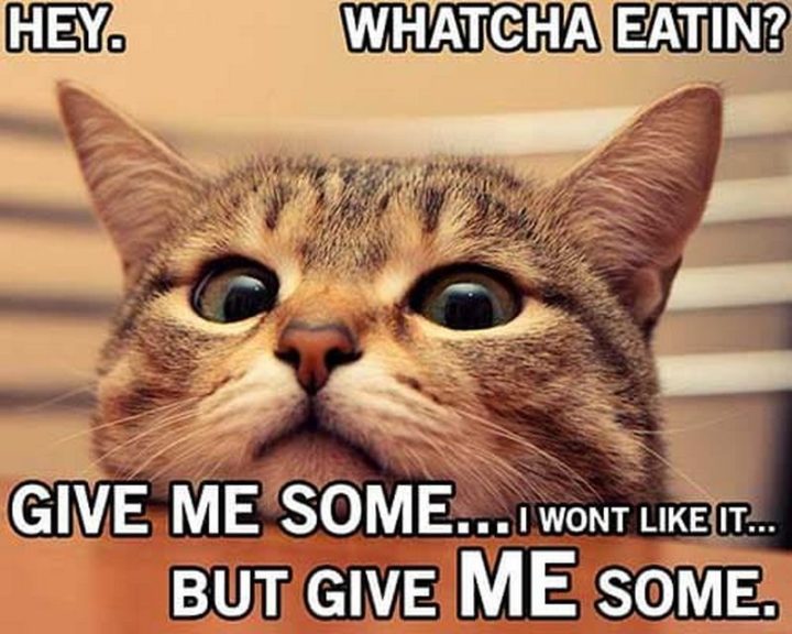 37 Funny Food Memes - "Hey. Whatcha eatin? Give me some...I won't like it...but give me some."