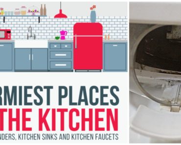 Top 10 Items and Places in Your Kitchen with the Most Germs. I Had No Idea About #9!