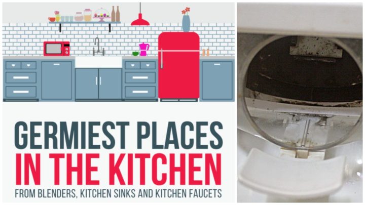 Top 10 Items and Places in Your Kitchen with the Most Germs