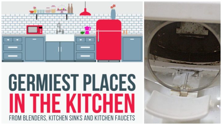 Top 10 Items And Places In Your Kitchen With The Most Germs