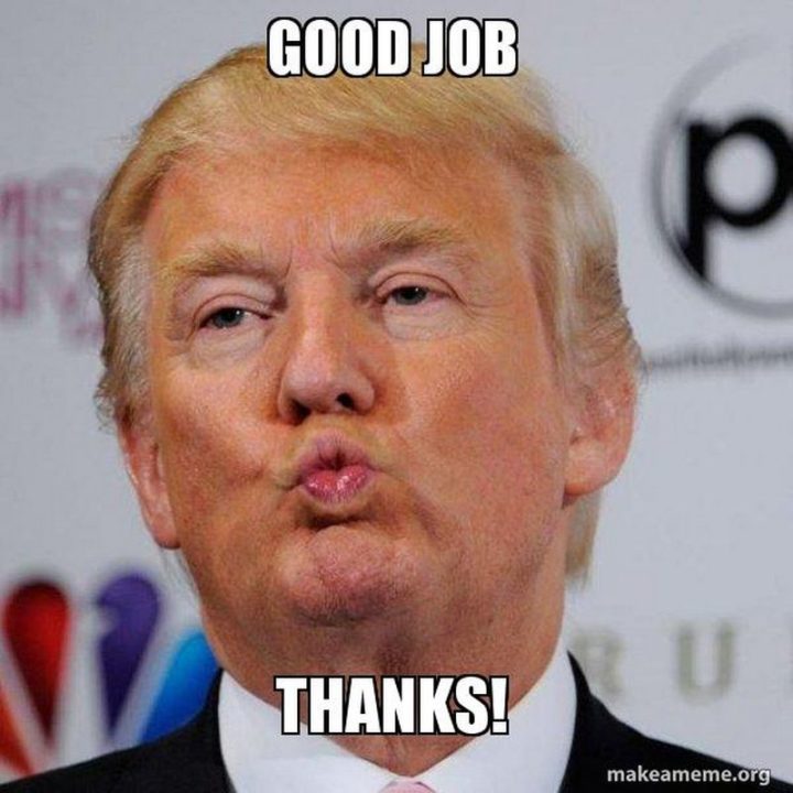 23 Great Job Memes - "Good job, thanks!"