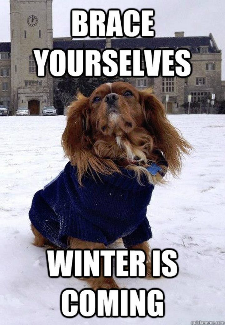 55-funny-winter-memes-that-are-relatable-if-you-live-in-the-north