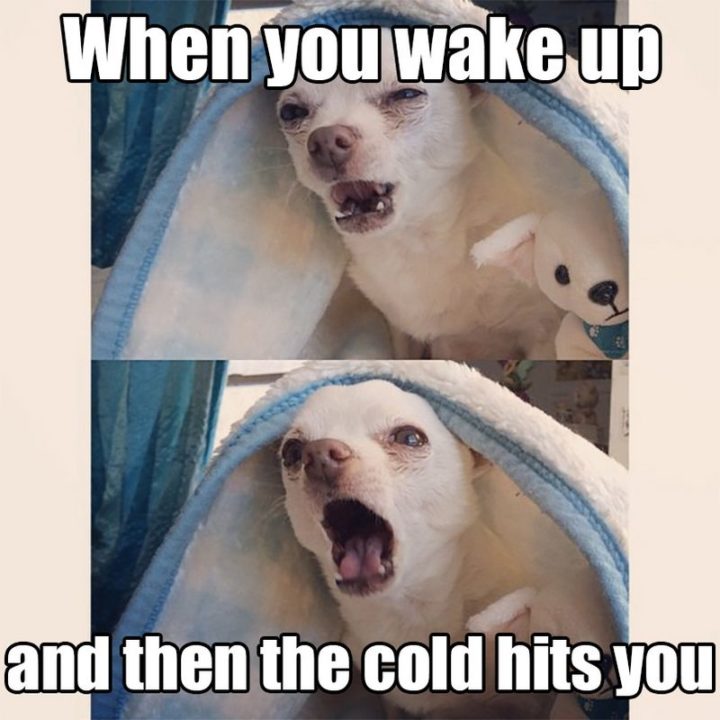 "When you wake up and then the cold hits you."