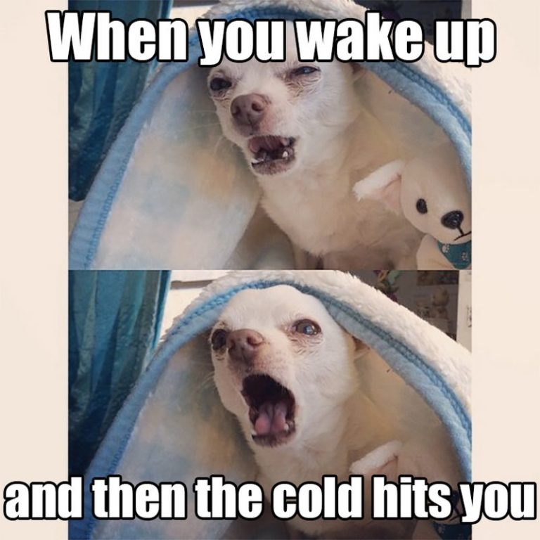 55 Funny Winter Memes That Are Relatable If You Hate Snowstorms
