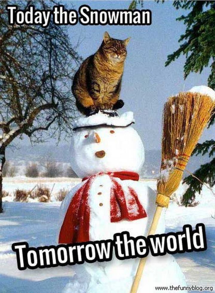 "Today the snowman. Tomorrow the world."