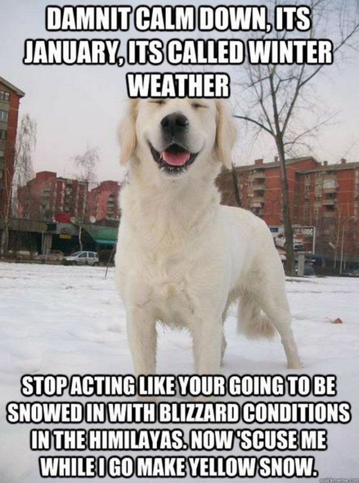 "Damnit calm down, it's January, it's called winter weather. Stop acting like your going to be snowed in with blizzard conditions in the Himalayas. Now 'scuse me while I go make yellow snow."