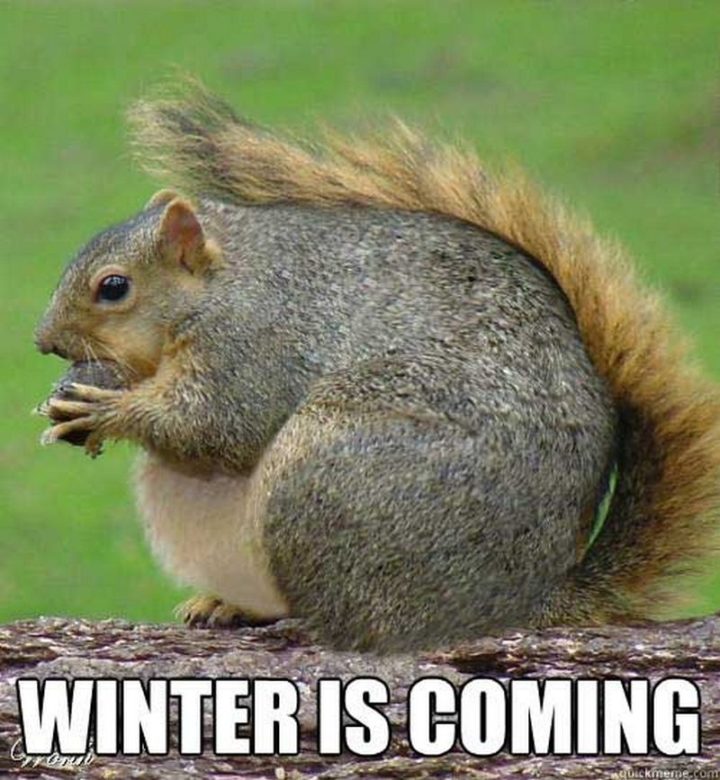"Winter is coming."