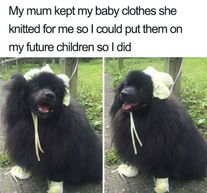 Millennials Choosing Pets Over Kids - "My mum kept my baby clothes she knitted for me so I could put them on my future children so I did."
