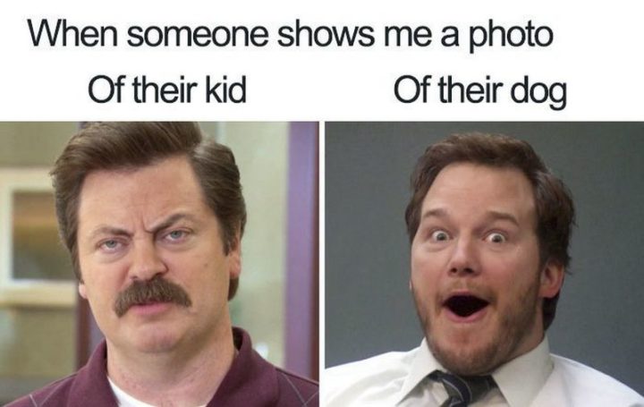 Millennials Choosing Pets Over Kids - "When someone shows me a photo of their kid vs their dog."