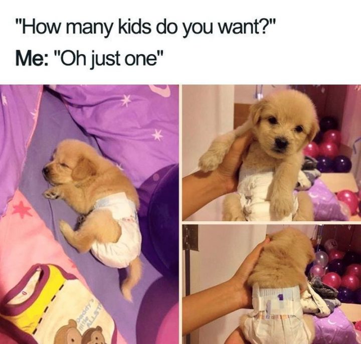 Millennials Choosing Pets Over Kids - "Others: How many kids do you want? Me: Oh just one."