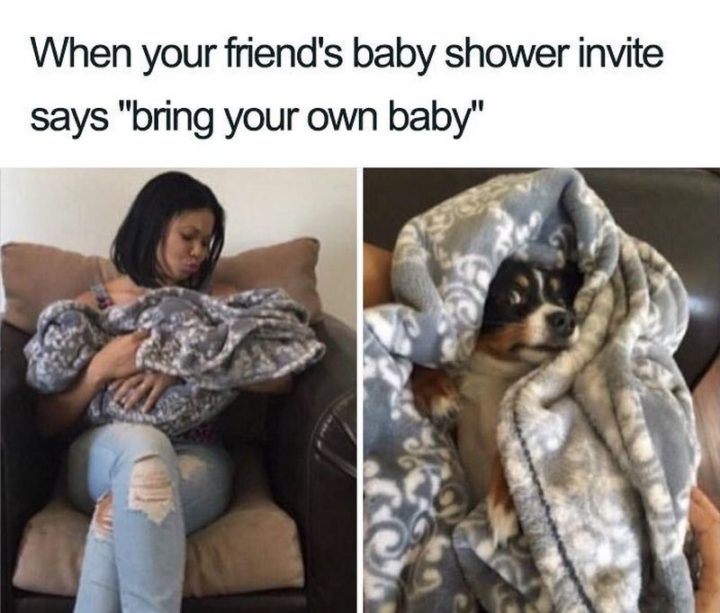 Millennials Choosing Pets Over Kids - "When your friend's baby shower invite says 'bring your own baby'."