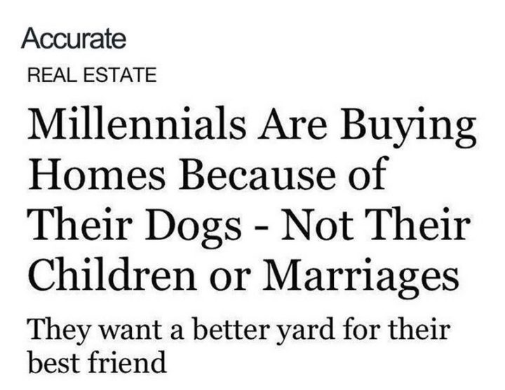 "Millennials are buying homes because of their dogs. Not their children or marriages. They want a better yard for their best friend."