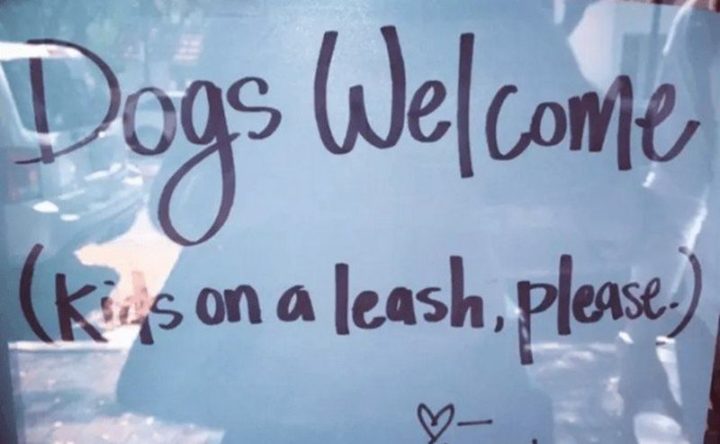 "Dogs welcome. Kids on a leash please."