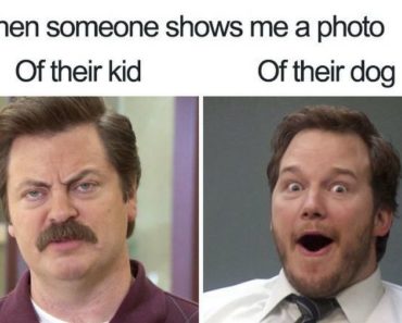 Millennials Are Choosing Pets Over Kids and Posting Hilarious Memes About Their Choice