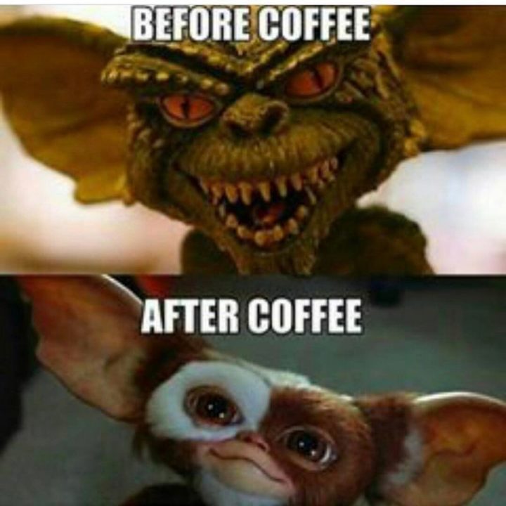 101 Funny Nursing Memes - "Before coffee. After coffee."