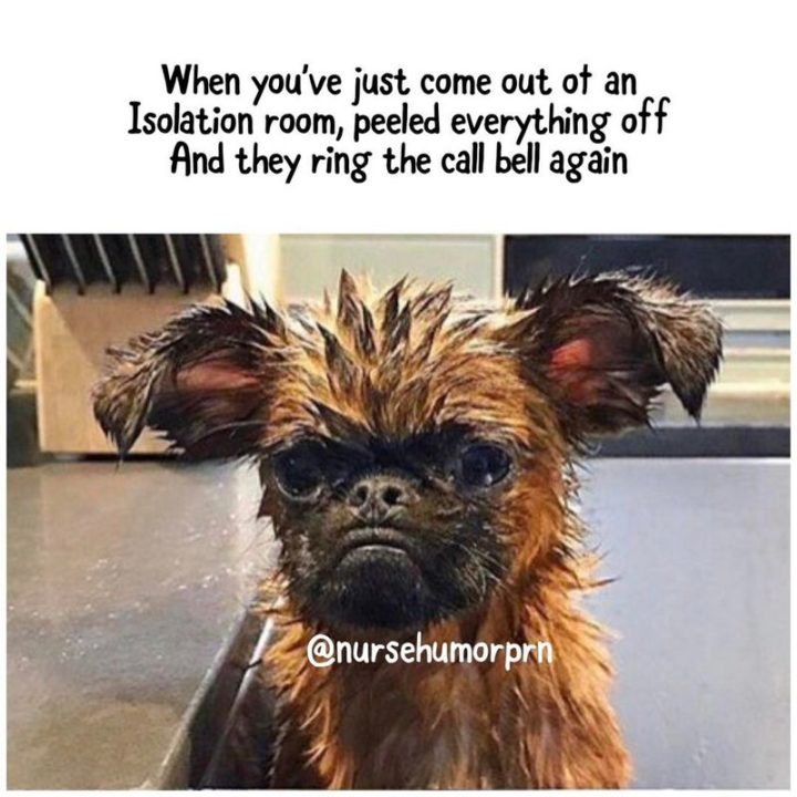 101 Funny Nursing Memes - "When you've just come out of an isolation room, peeled everything off and they ring the call bell again."