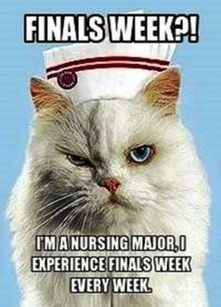 101 Nursing Memes That Are Funny and Relatable To Any Nurse/Student