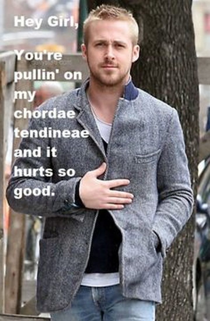 "Hey girl, you're pullin' on my chordae tendineae and it hurts so good."