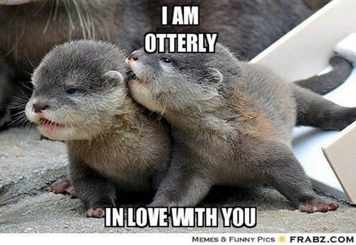 "I am otterly in love with you."