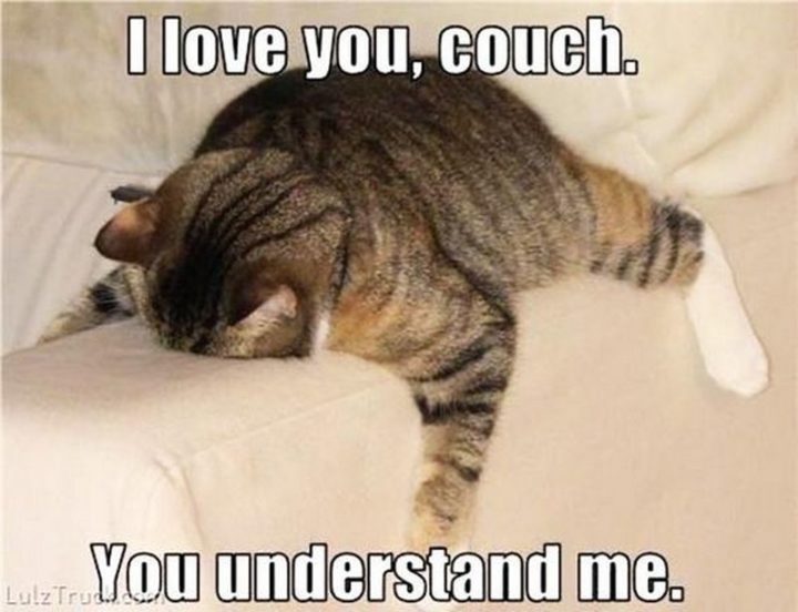 "I love you, couch. You understand me."
