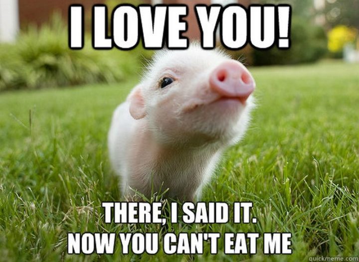 "I love you! There, I said it. Now you can't eat me."