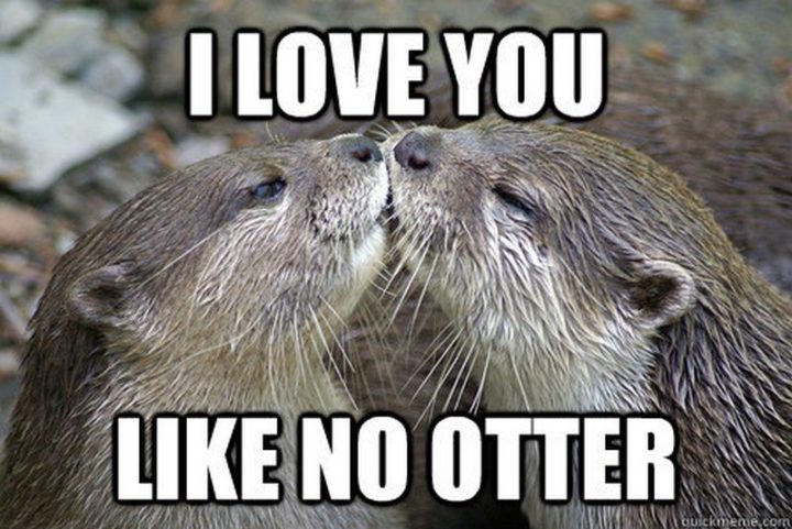 "I love you like no other."