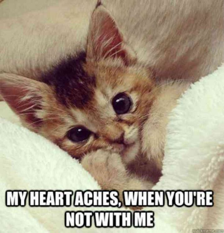 "My heart aches, when you're not with me."