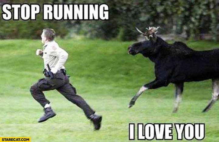 "Stop running. I love you."