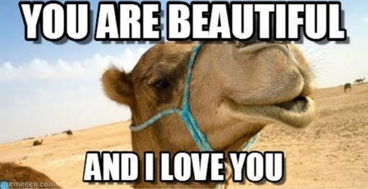 "You are beautiful and I love you."